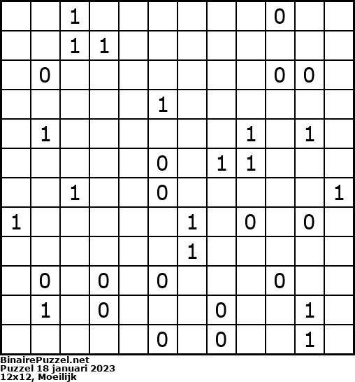 Binaire Puzzel