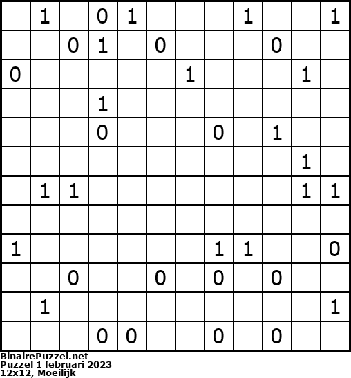 Binaire Puzzel