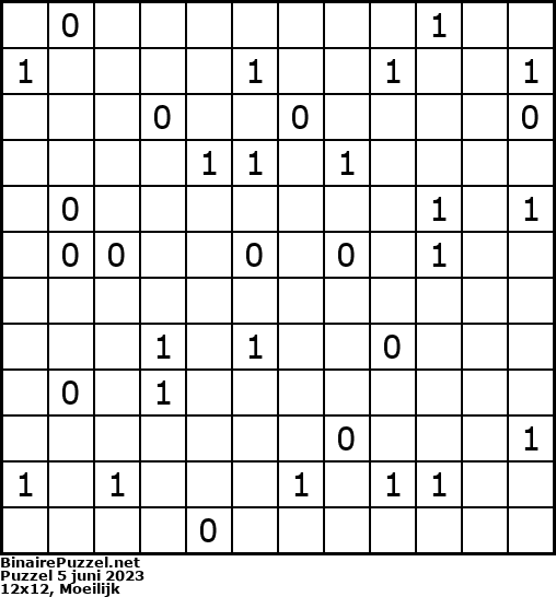 Binaire Puzzel