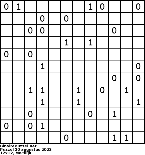 Binaire Puzzel