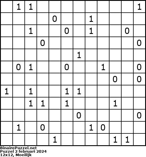 Binaire Puzzel