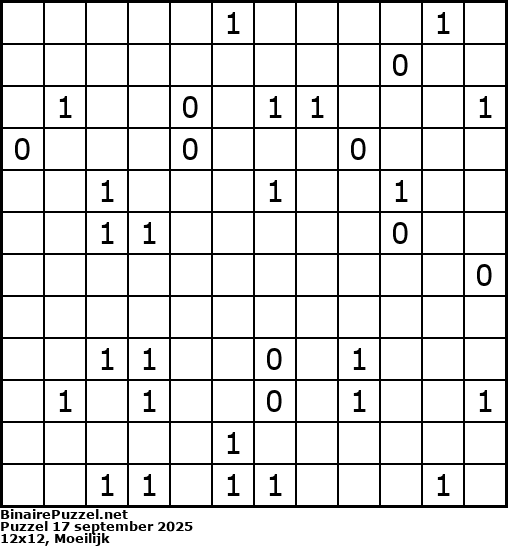 Binaire Puzzel