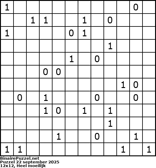 Binaire Puzzel