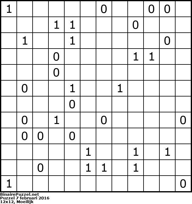 Binaire Puzzel