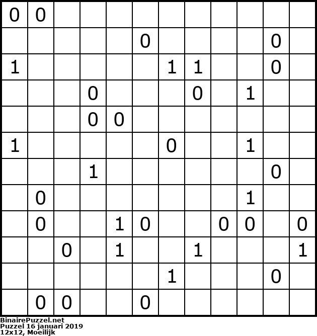 Binaire Puzzel