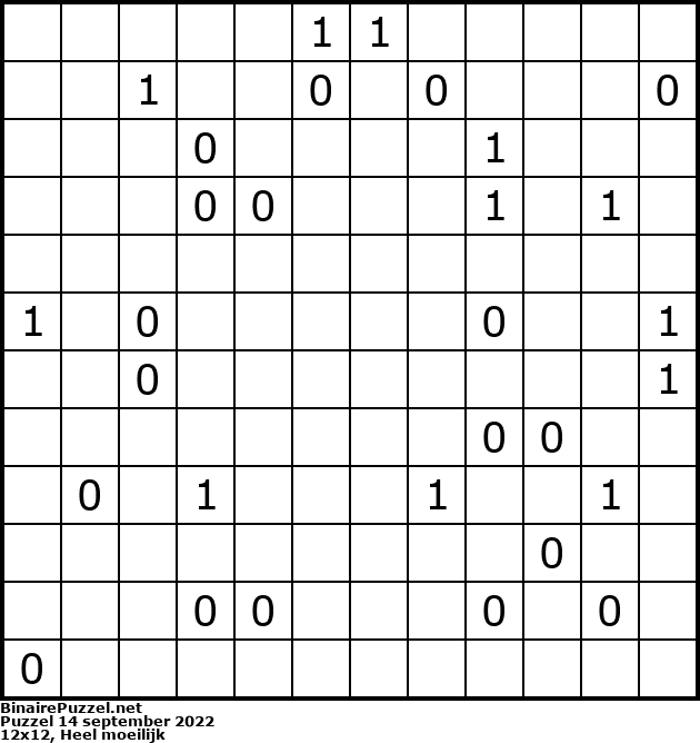 Binaire Puzzel