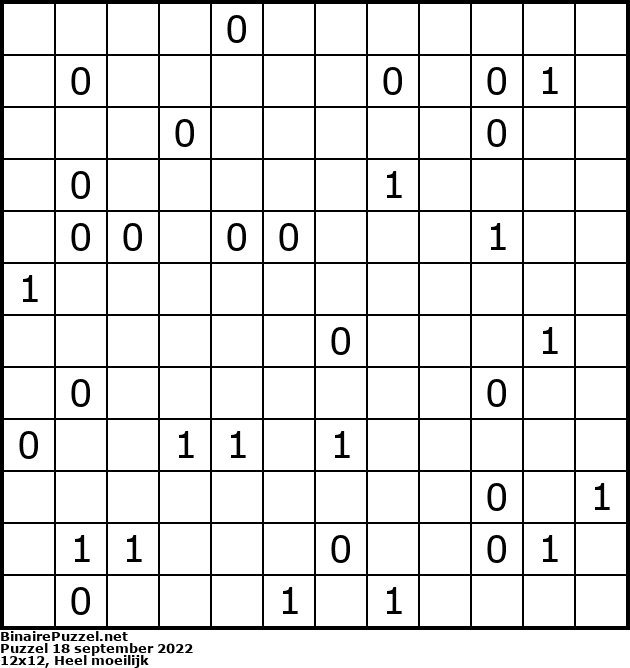 Binaire Puzzel