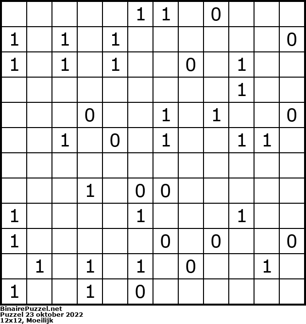 Binaire Puzzel