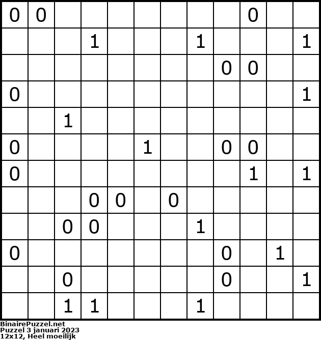 Binaire Puzzel