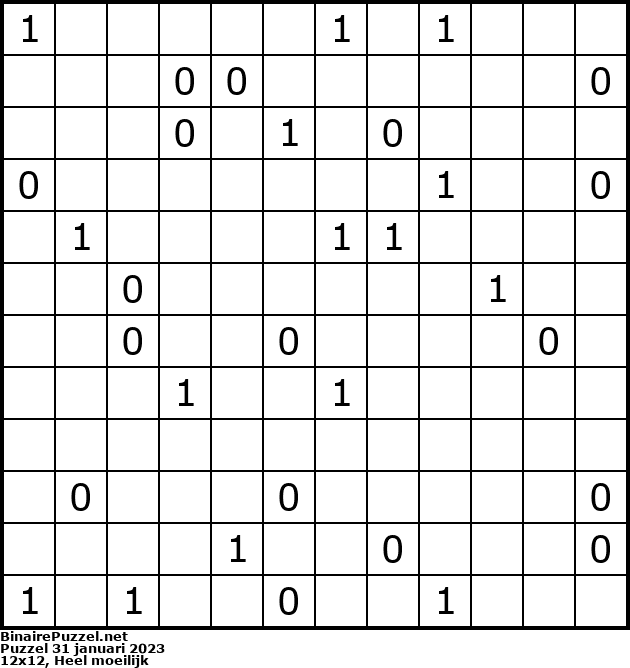 Binaire Puzzel