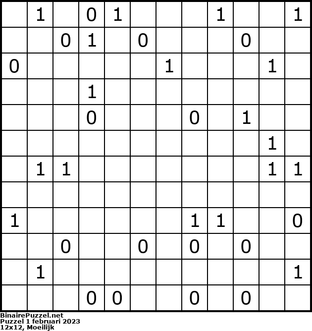 Binaire Puzzel