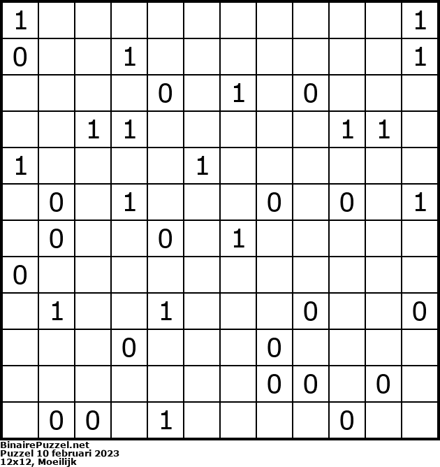 Binaire Puzzel