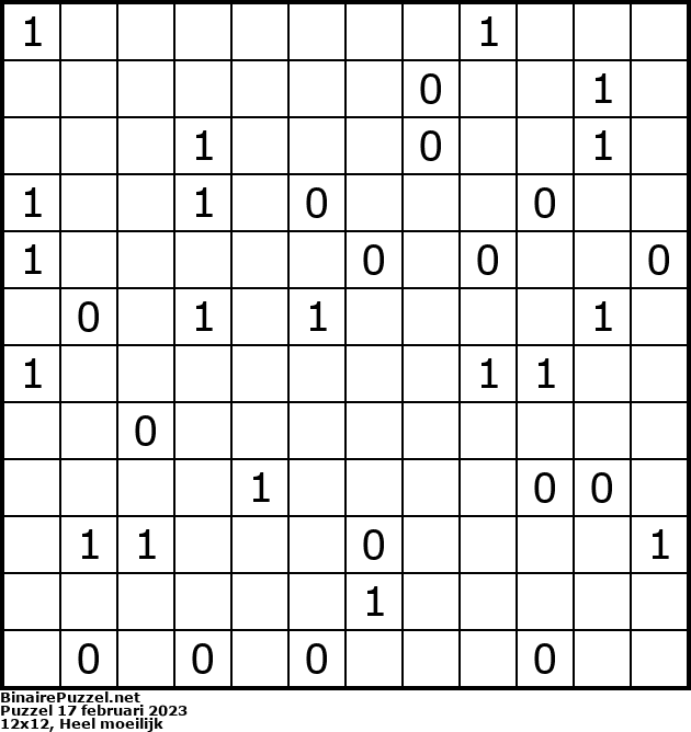 Binaire Puzzel