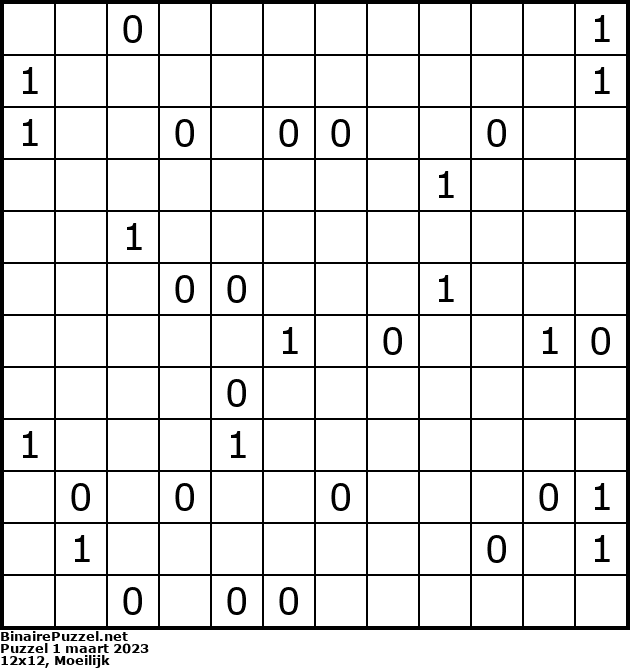 Binaire Puzzel