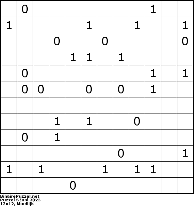 Binaire Puzzel