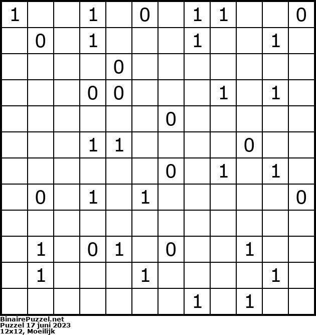 Binaire Puzzel