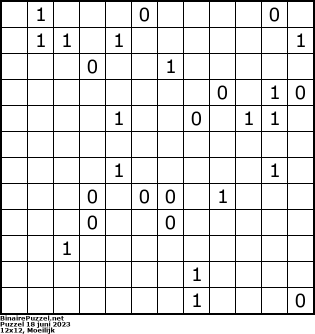 Binaire Puzzel
