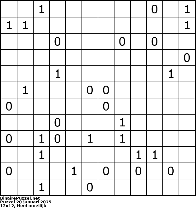 Binaire Puzzel