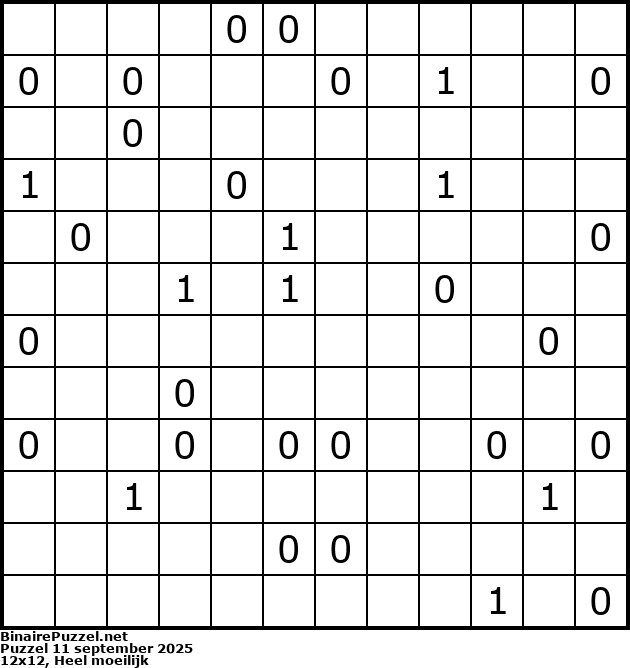Binaire Puzzel