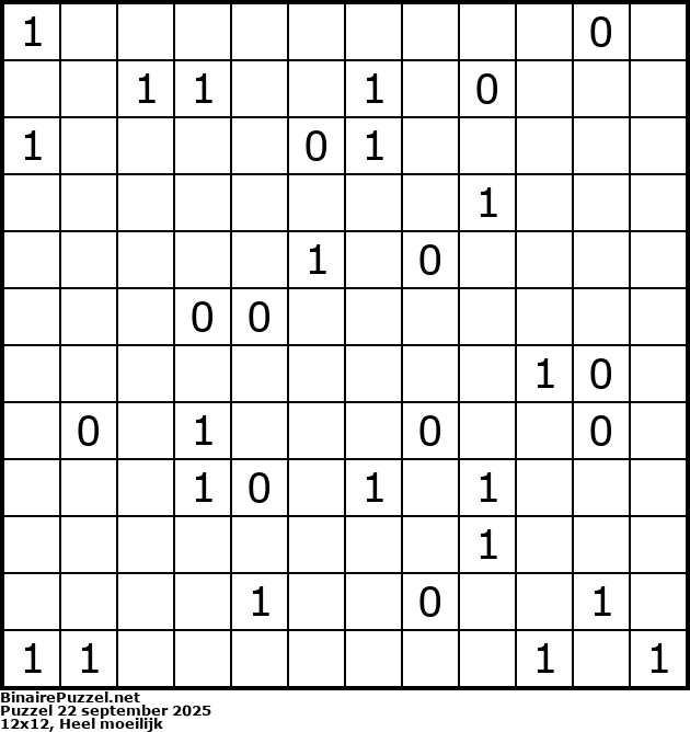 Binaire Puzzel