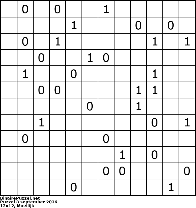 Binaire Puzzel