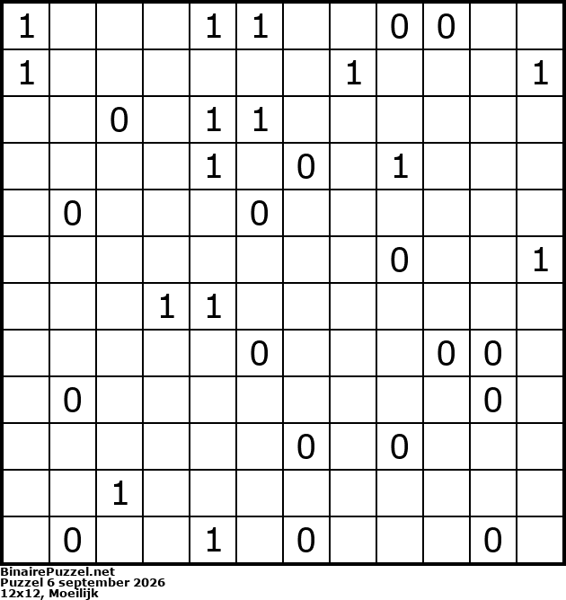 Binaire Puzzel
