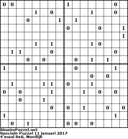 Binaire Puzzel
