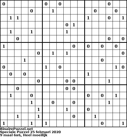 Binaire Puzzel