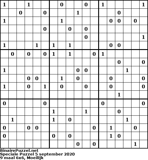 Binaire Puzzel