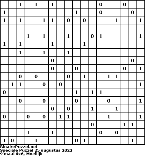 Binaire Puzzel
