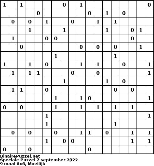 Binaire Puzzel