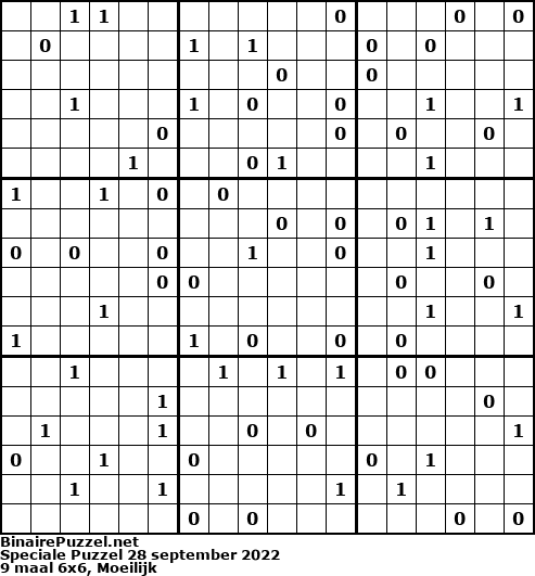 Binaire Puzzel