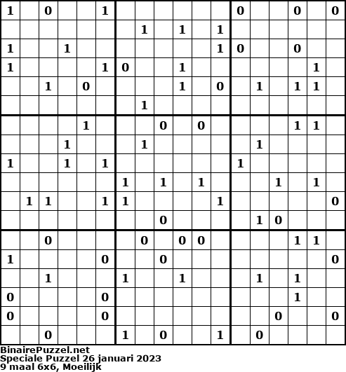 Binaire Puzzel