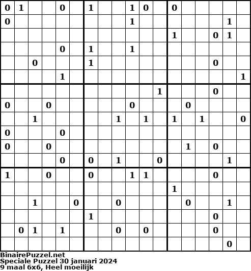 Binaire Puzzel