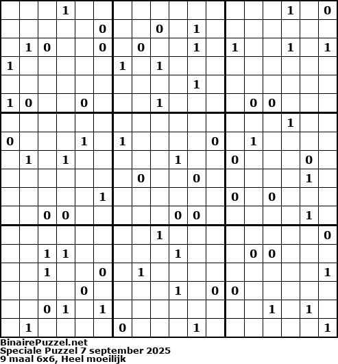 Binaire Puzzel