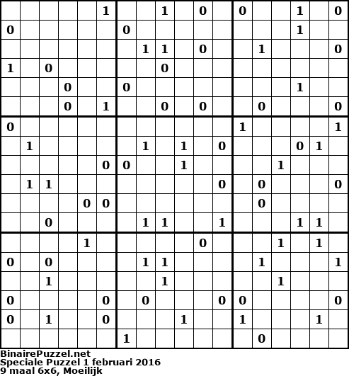 Binaire Puzzel