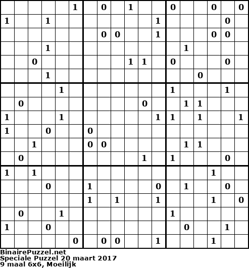 Binaire Puzzel