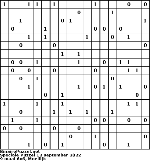 Binaire Puzzel